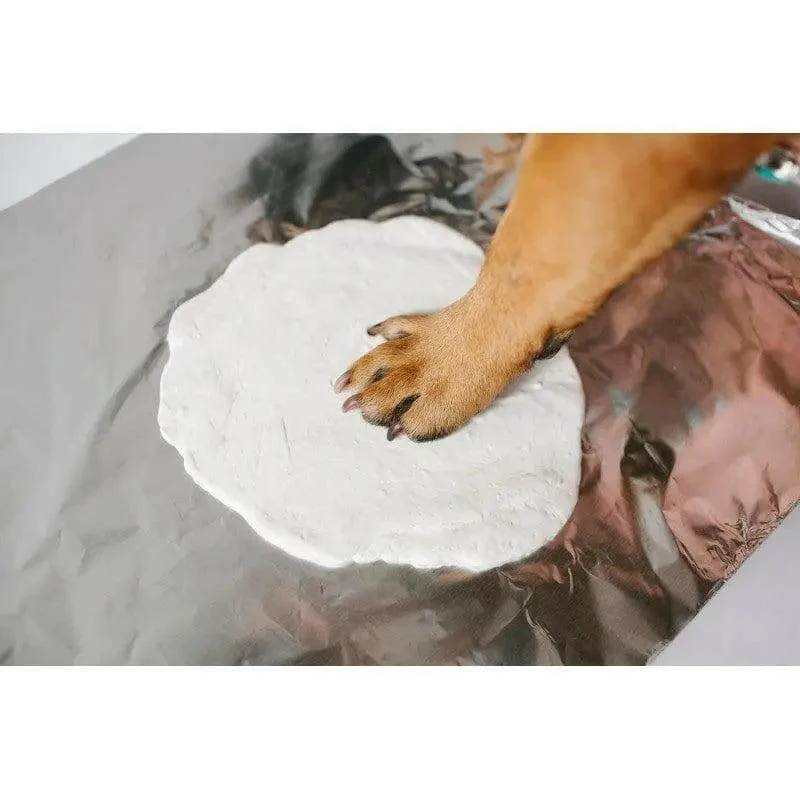 Suspension empreinte de patte plâtre pour chien ou chat