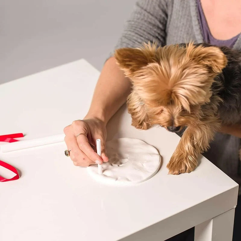 Suspension empreinte de patte plâtre pour chien ou chat