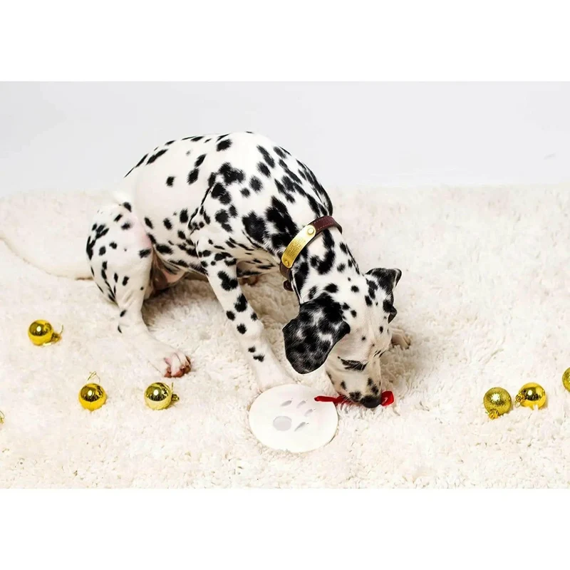Suspension empreinte de patte plâtre pour chien ou chat