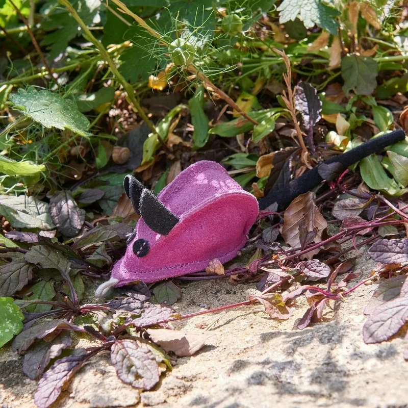 Souris jouet pour chat ou petit chien eco