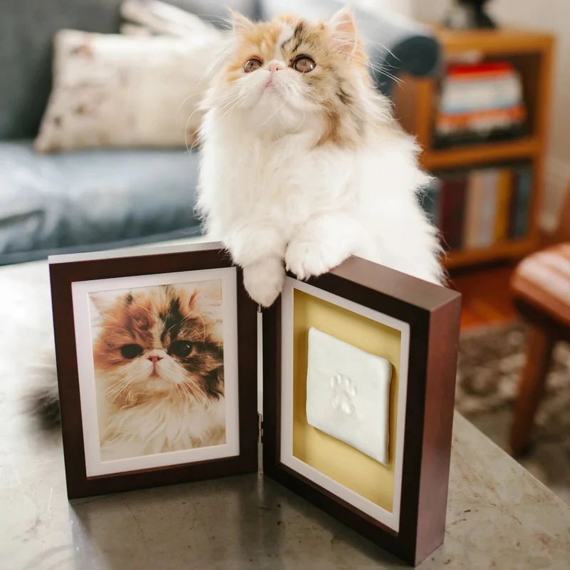 Double Cadre Photo & Empreinte de Patte. Pour Chien ou Chat.