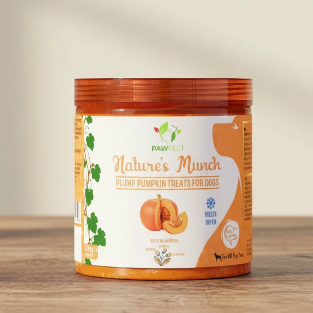 Friandises naturelles à la citrouille lyophilisée pour chiens