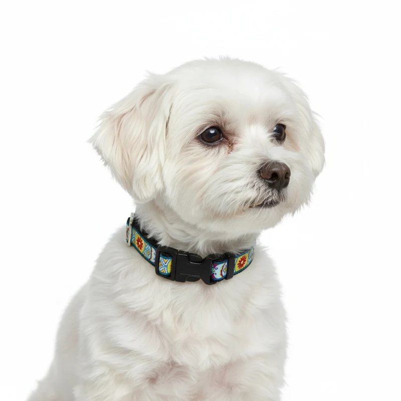 Collier pour Chien 'Fleurs'