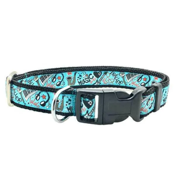Collier pour Chien 'Rock Star'