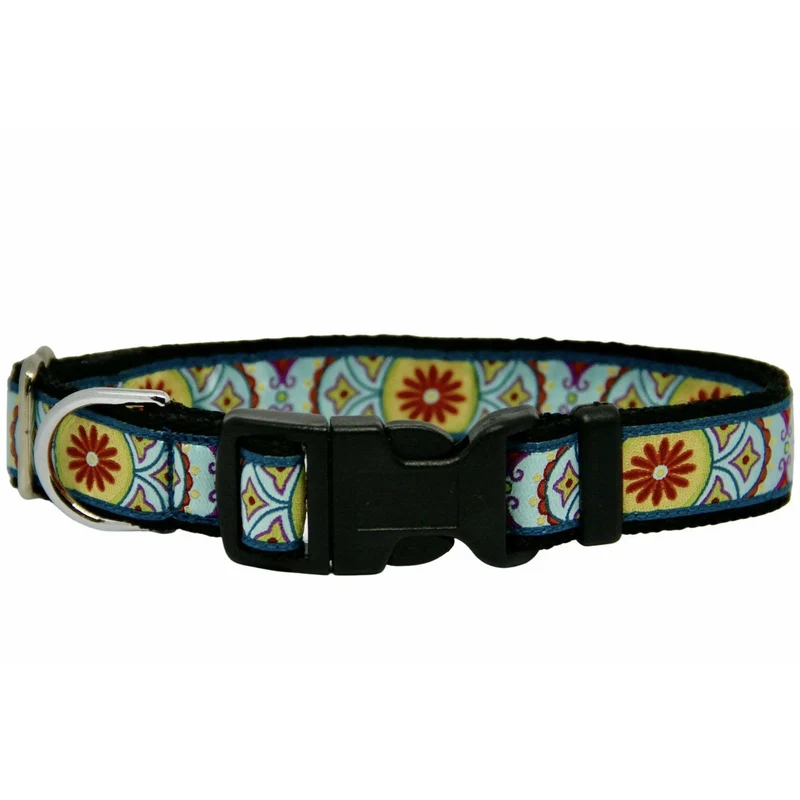Ensemble collier et laisse pour chien Fleurs