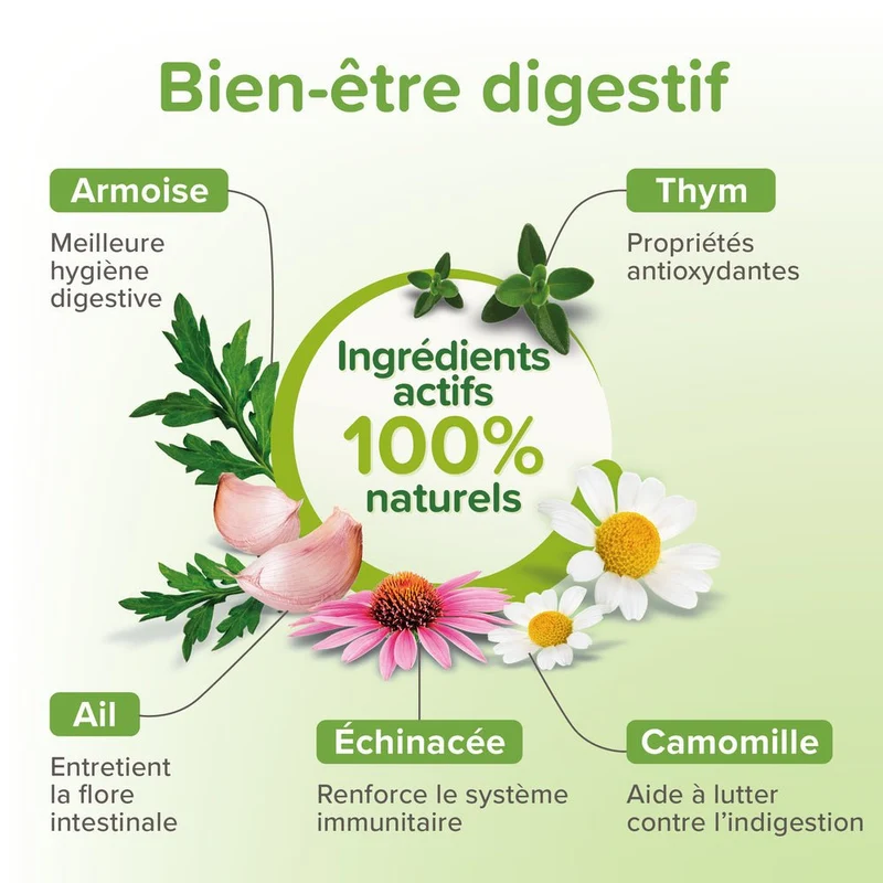 Vermipure purge aux plantes chien plus de 15 kg