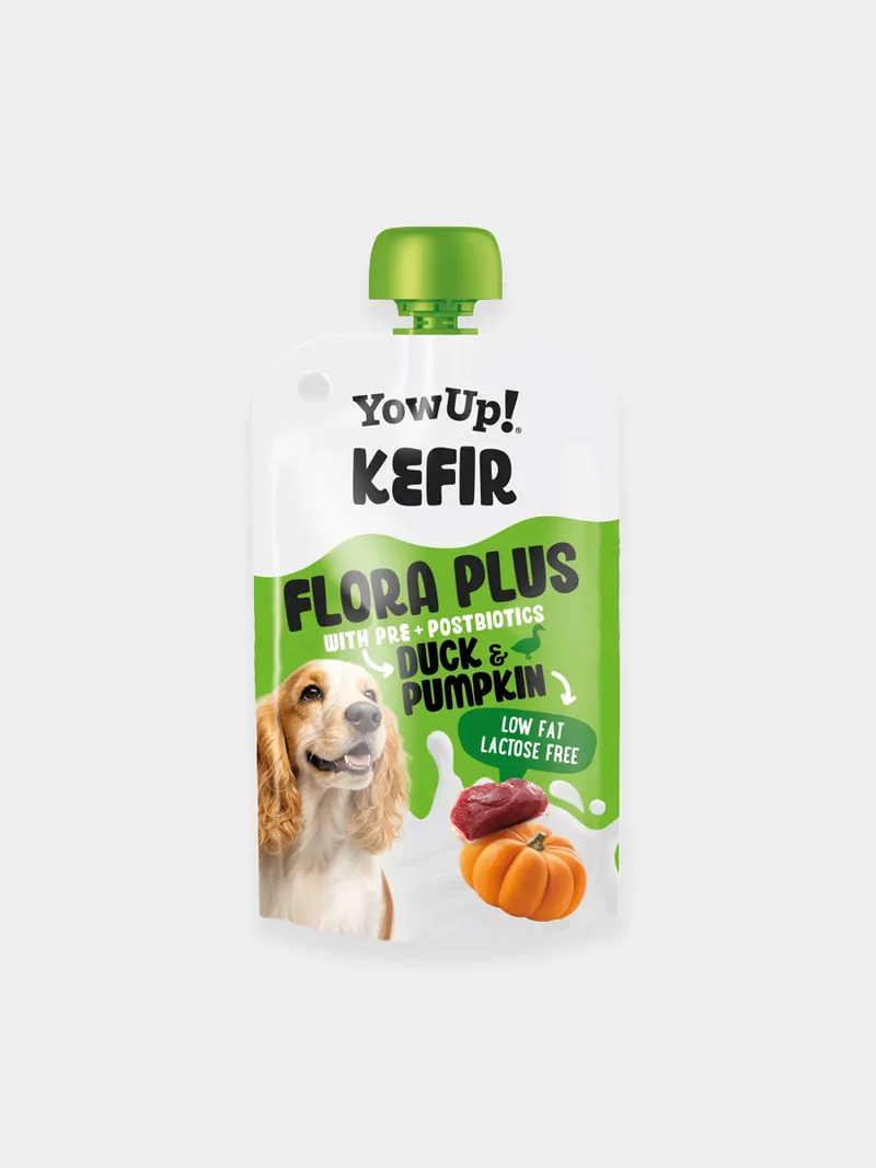 Kéfir à boire pour chien - Canard 🦆 et Citrouille - Yow Up !
