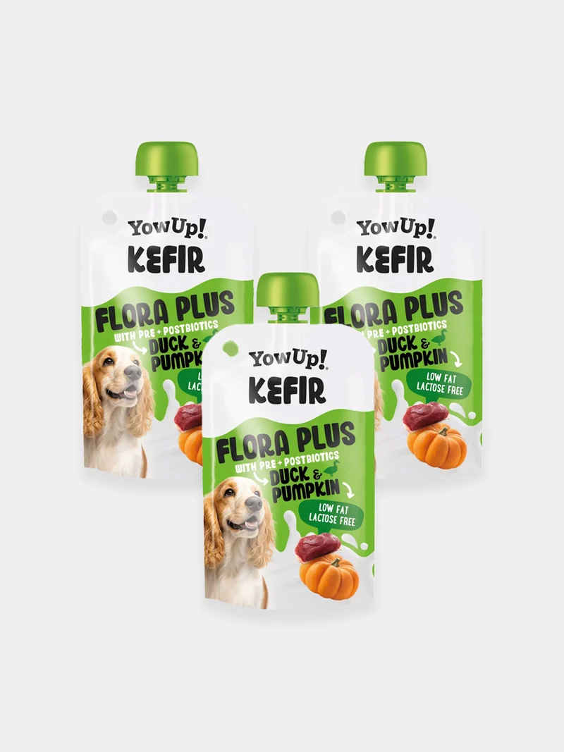 Kéfir à boire pour chien - Canard 🦆 et Citrouille - Yow Up !