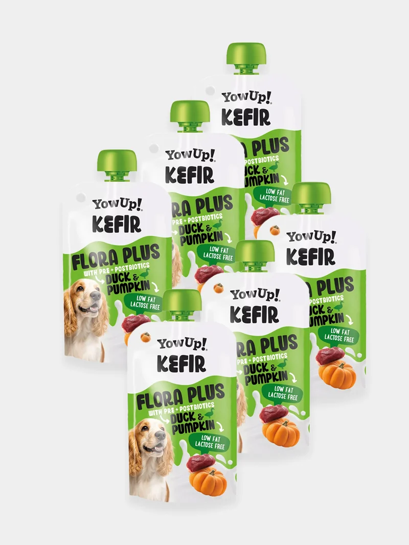 Kéfir à boire pour chien - Canard 🦆 et Citrouille - Yow Up !