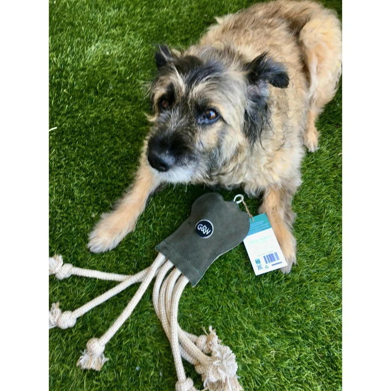 Olivia La Pieuvre Écologique Jouet pour chien
