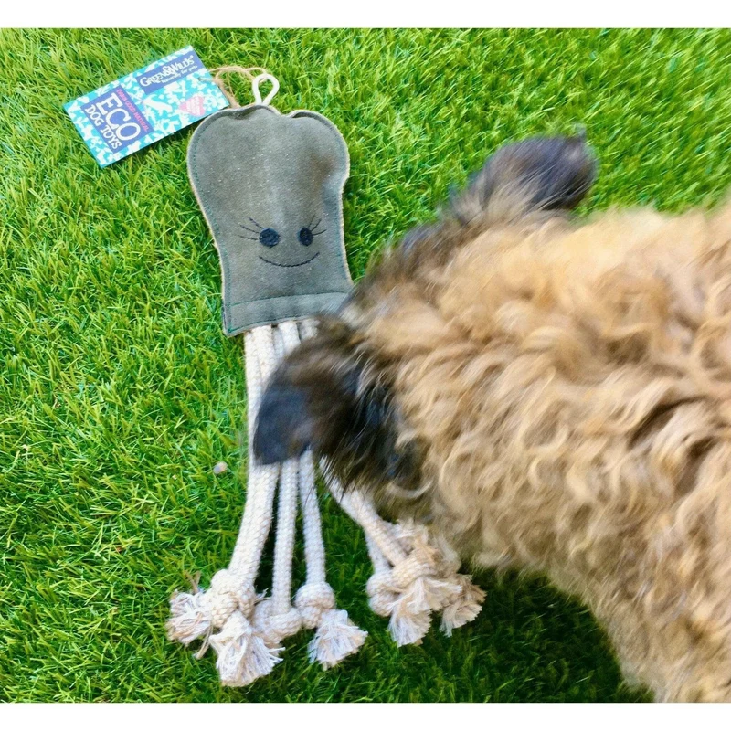 Olivia La Pieuvre Écologique Jouet pour chien