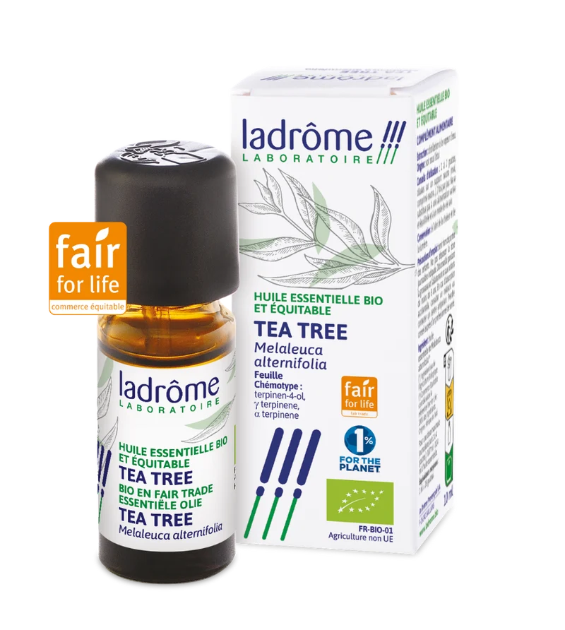 Tea tree (Arbre à thé) - Huile essentielle bio