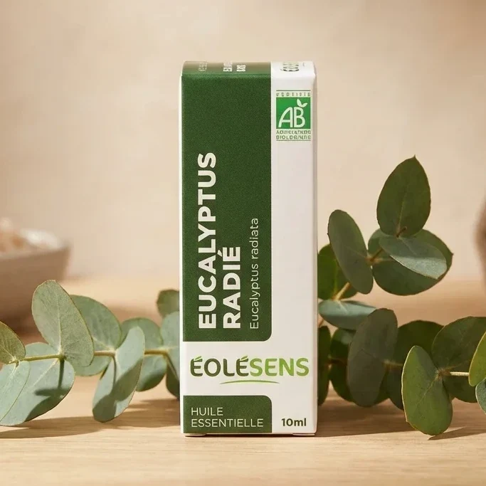 Huile Essentielle d'Eucalyptus Radie Bio - 10ml - Eolesens
