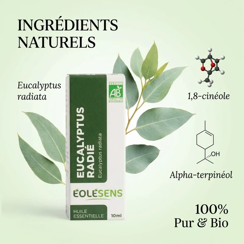 Huile Essentielle d'Eucalyptus Radie Bio - 10ml - Eolesens