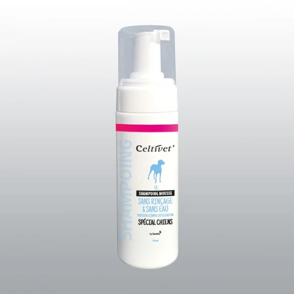 Shampoing sec mousse chien