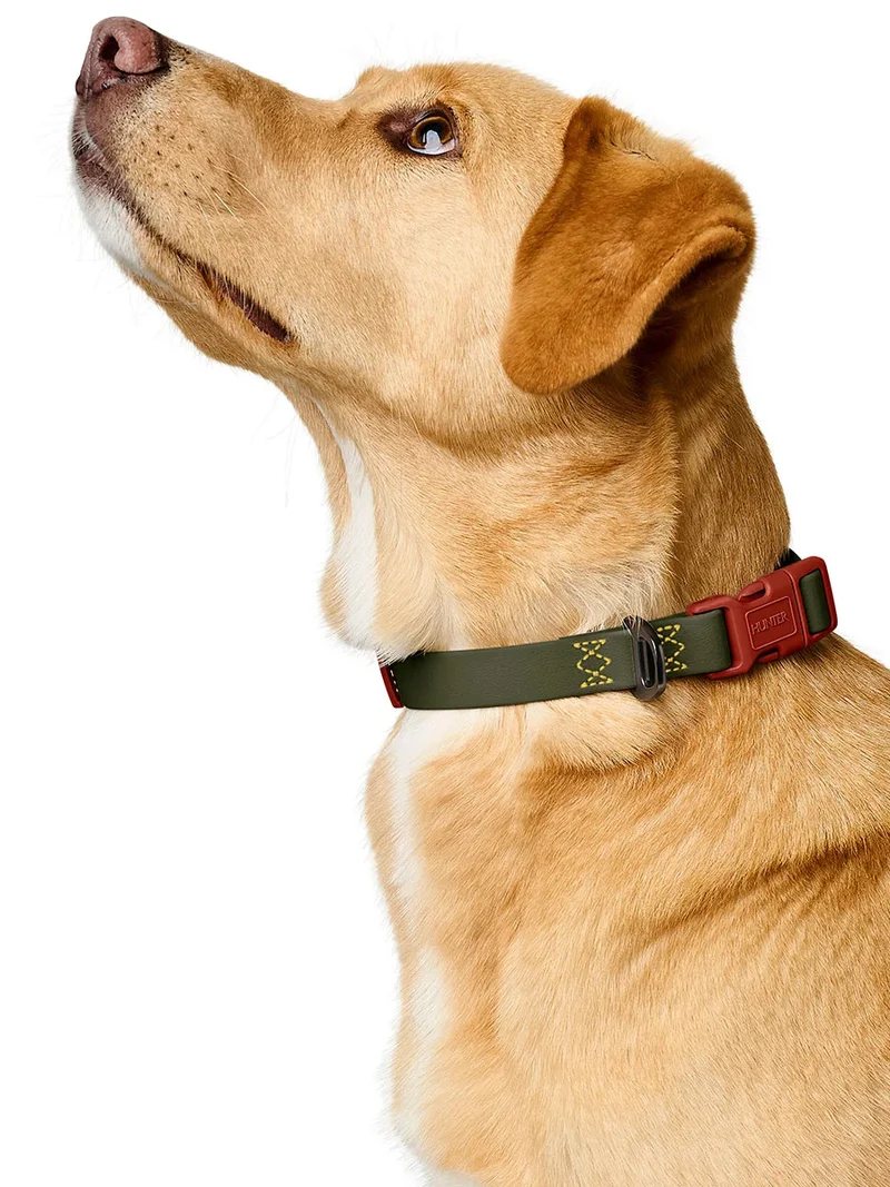 Collier pour chien imperméable et résistant - Havana army - Hunter