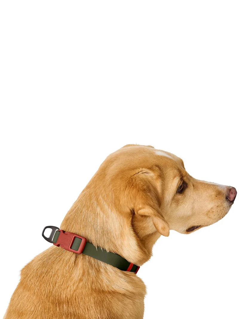 Collier pour chien imperméable et résistant - Havana army - Hunter