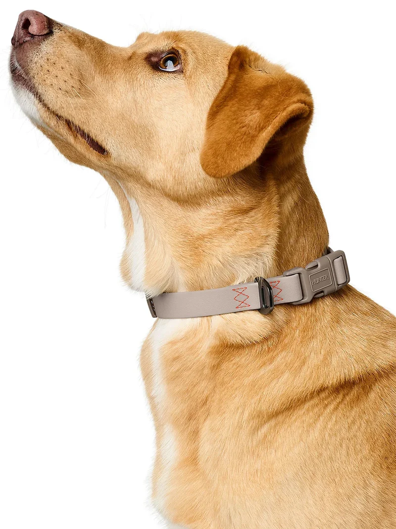 Collier pour chien imperméable et résistant - Havana grège - Hunter