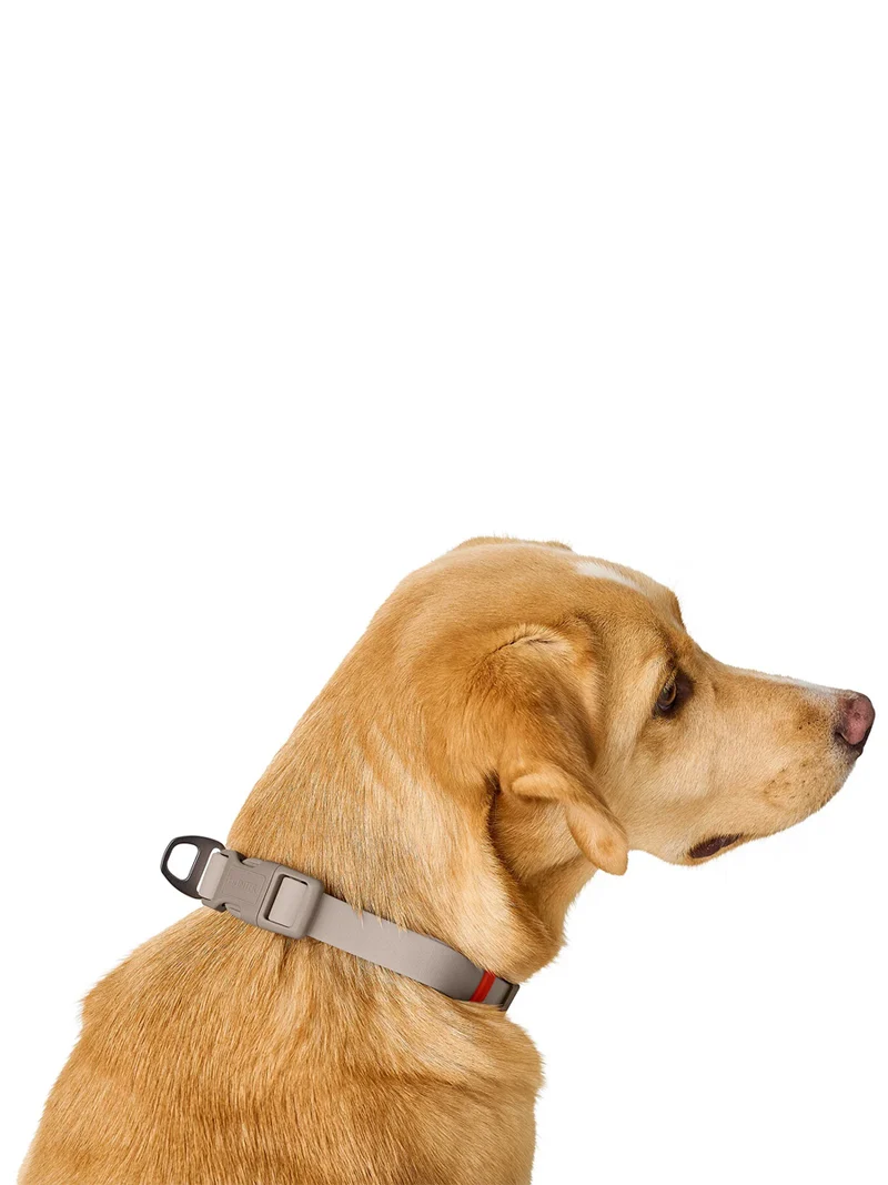 Collier pour chien imperméable et résistant - Havana grège - Hunter