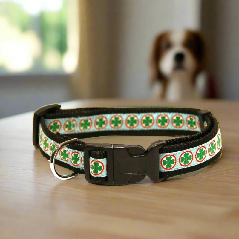 Collier pour Chien 'trèfle à quatre feuilles'