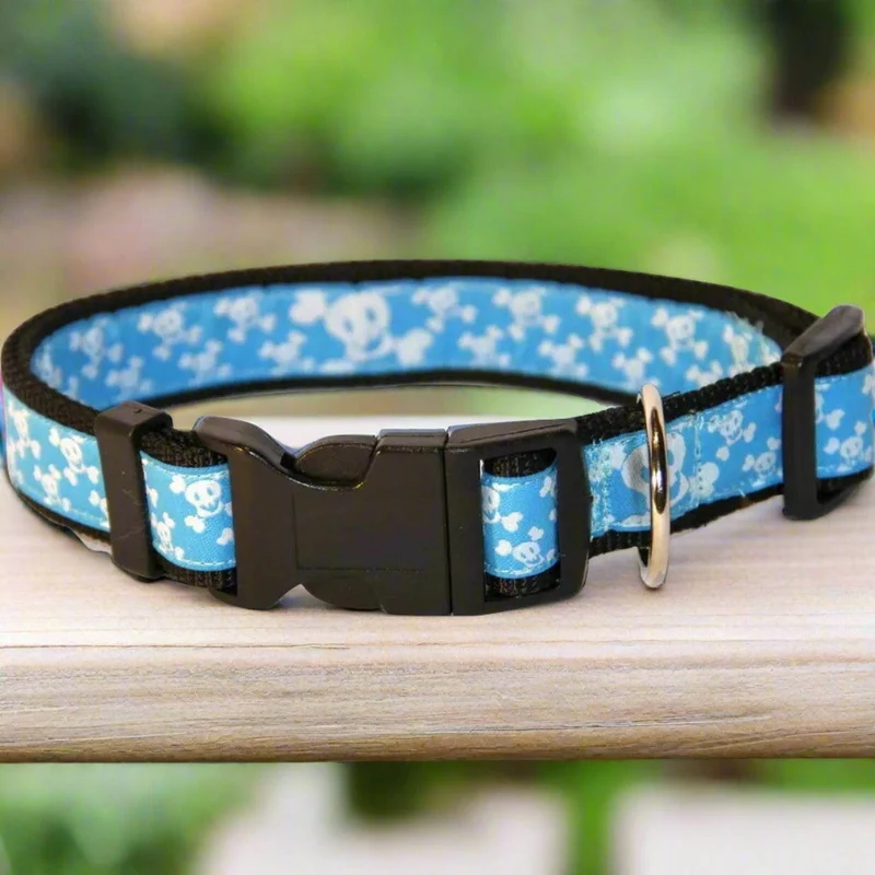Collier pour chien – Tête de Mort Bleu