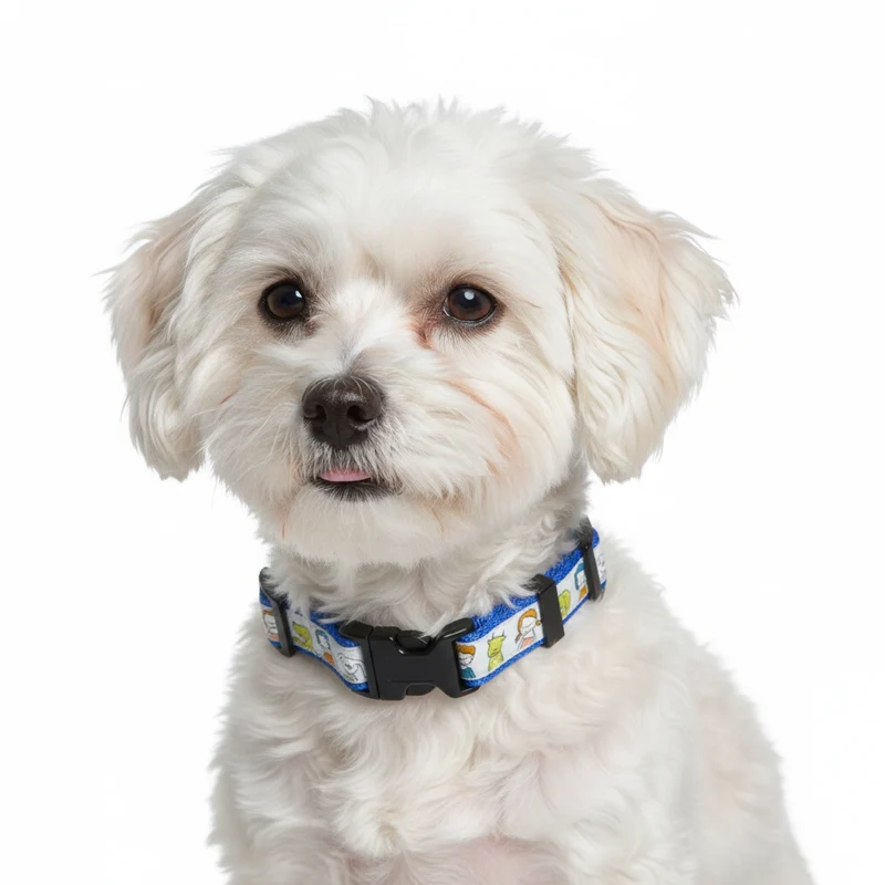 Collier pour chien fait main motif Copains
