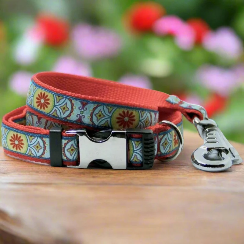 Ensamble collier & laisse 'fleur rouge'
