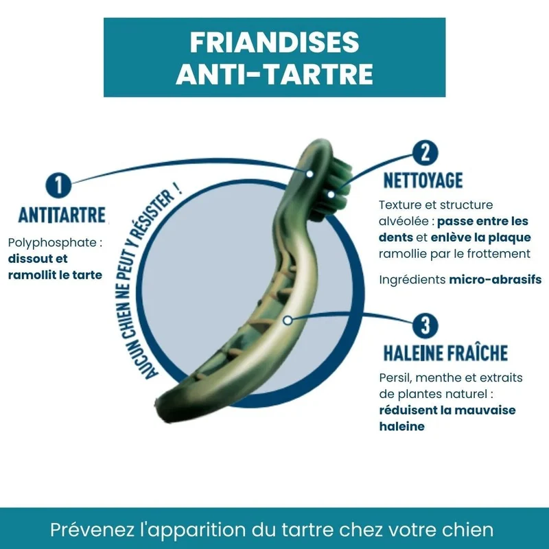 Sticks dentaires pour chien, Friandises Anti-Tartre pour chien