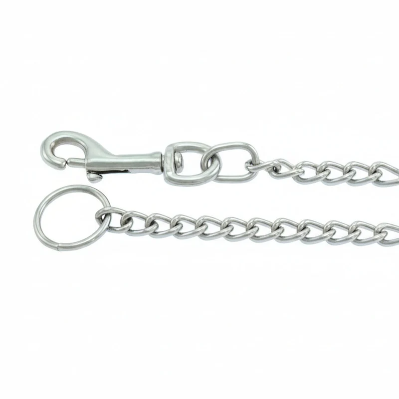 Laisse en chaîne sans poignée acier
