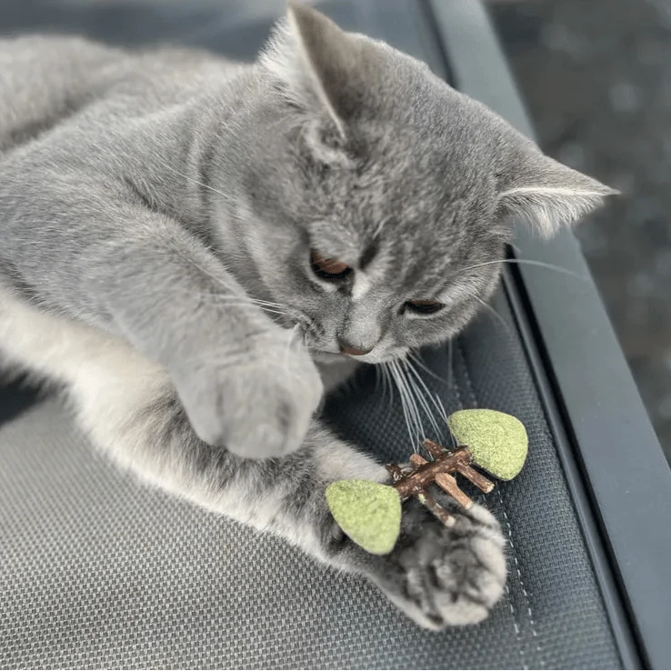Jouet pour chat poisson avec arêtes MATATABI