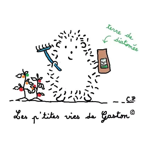 Terre de Diatomée – Insecticide Naturel