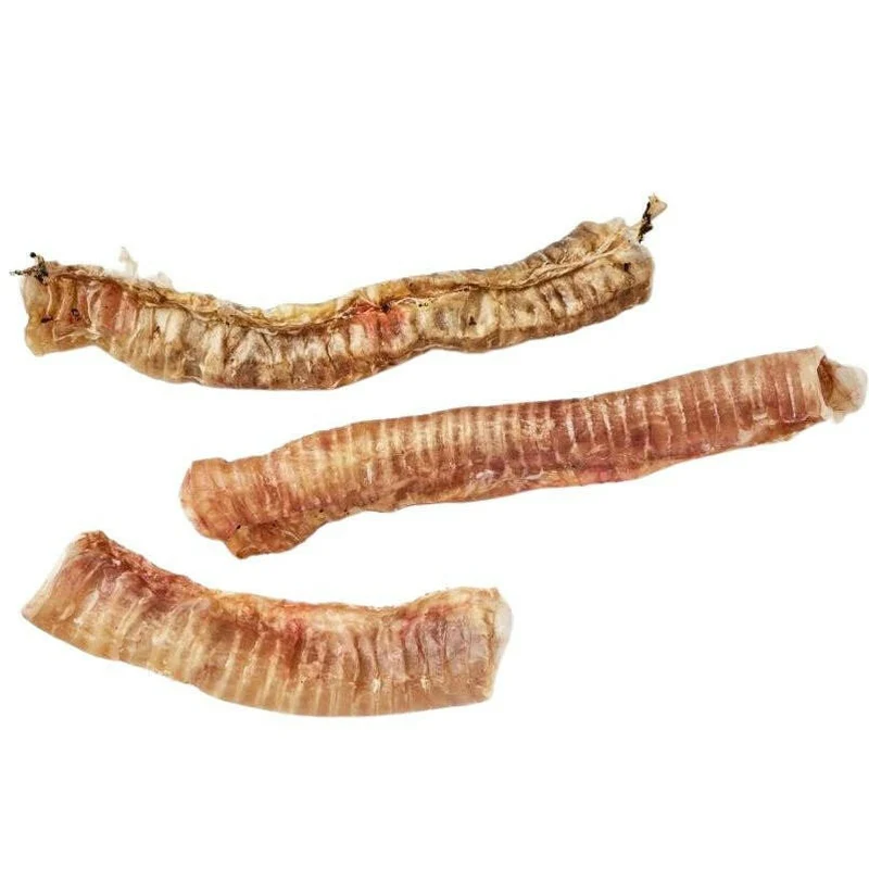 Trachées de Bœuf pour Chien – Naturel – Antos