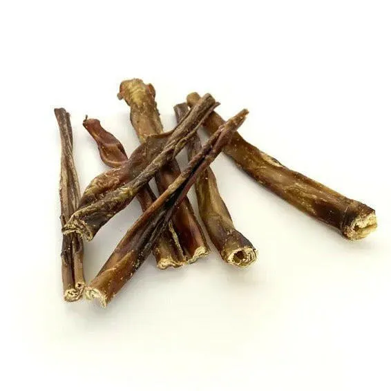 Nerf de Porc Ibérique pour Chiens – Snack dentaire 100 % naturel Mr Bones