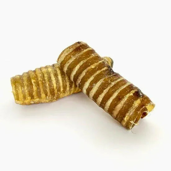Trachées de Bœuf pour Chien – Naturel – Antos