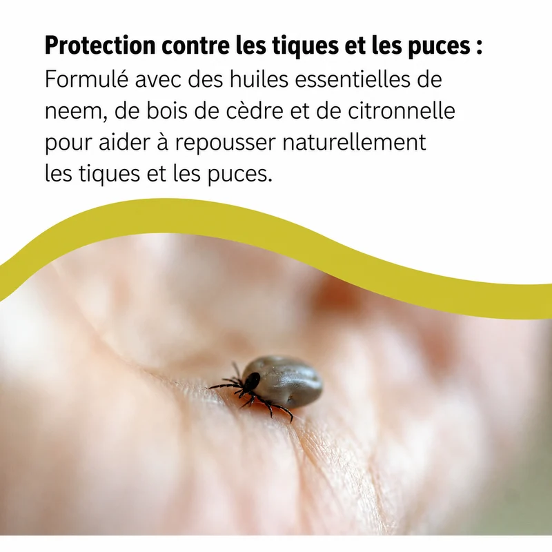 Spray Naturel Anti-Puces & Tiques pour Chien – Formule à l’Argent Colloïdal