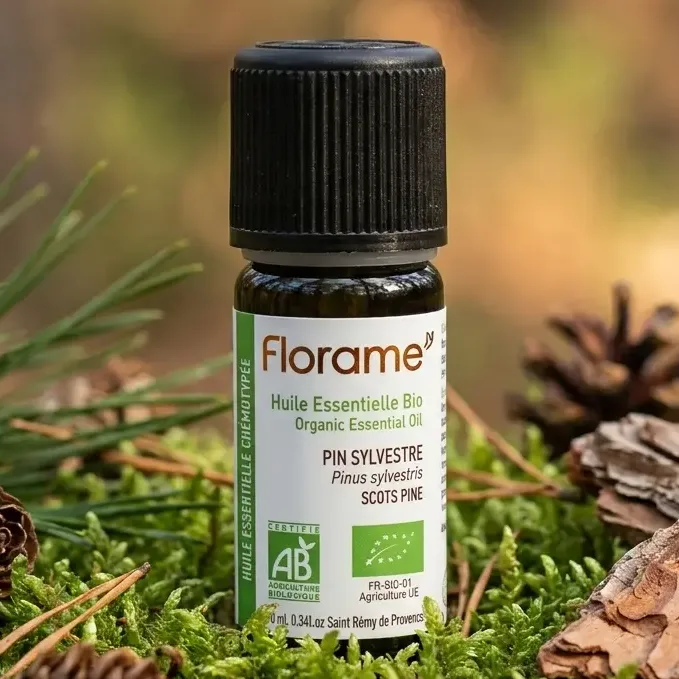Huile Essentielle de Pin Sylvestre Bio - 10 ml - Florame