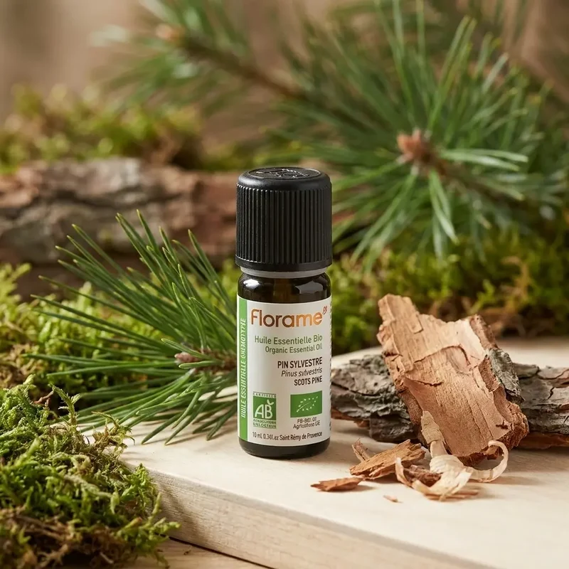 Huile Essentielle de Pin Sylvestre Bio - 10 ml - Florame