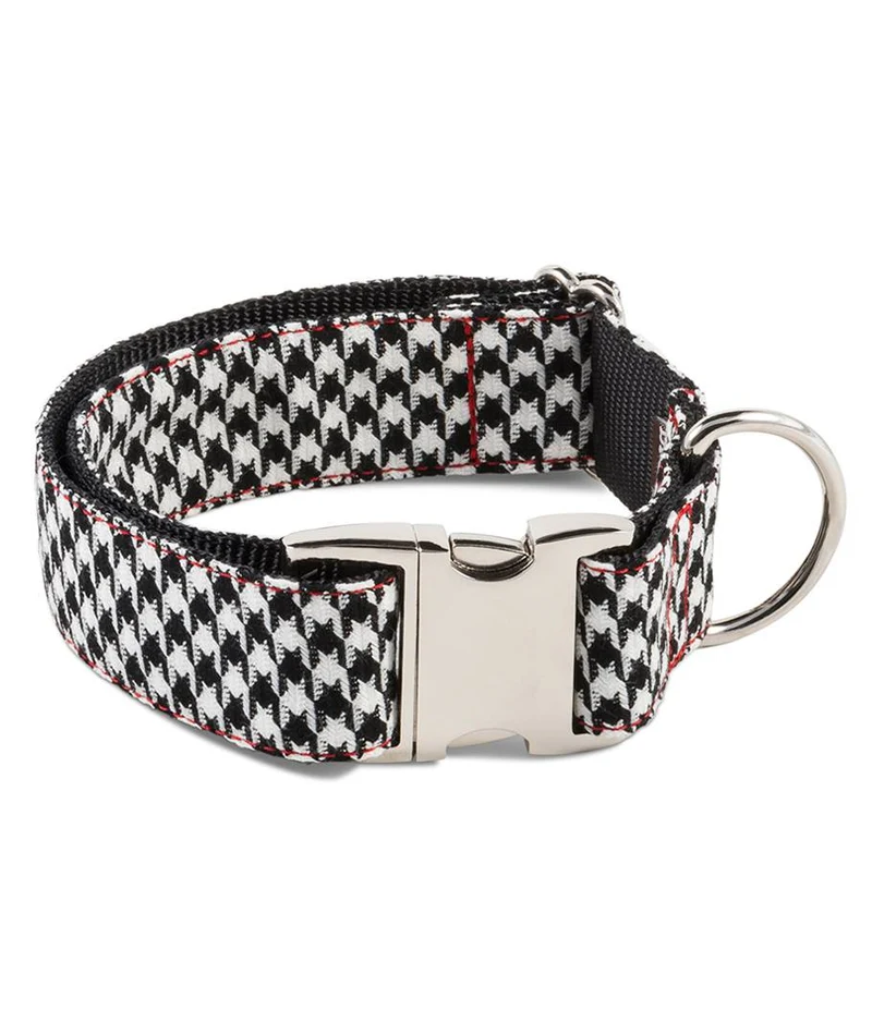 Collier pour chien Ribes