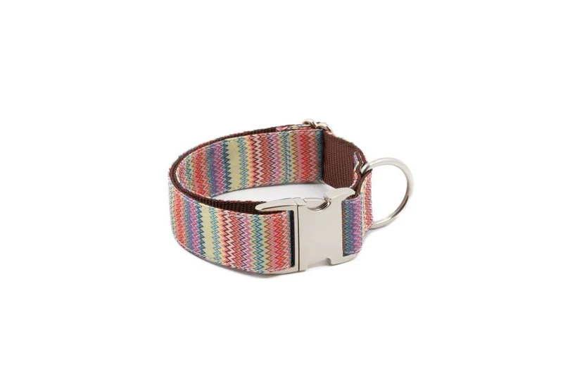 Laisse pour chien Llavaneres