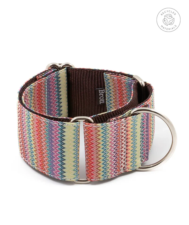 Collier pour chien Llavaneres