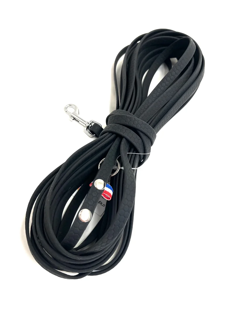 Longe pour petit chien