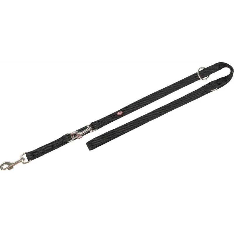 Laisse premium reglable pour chien