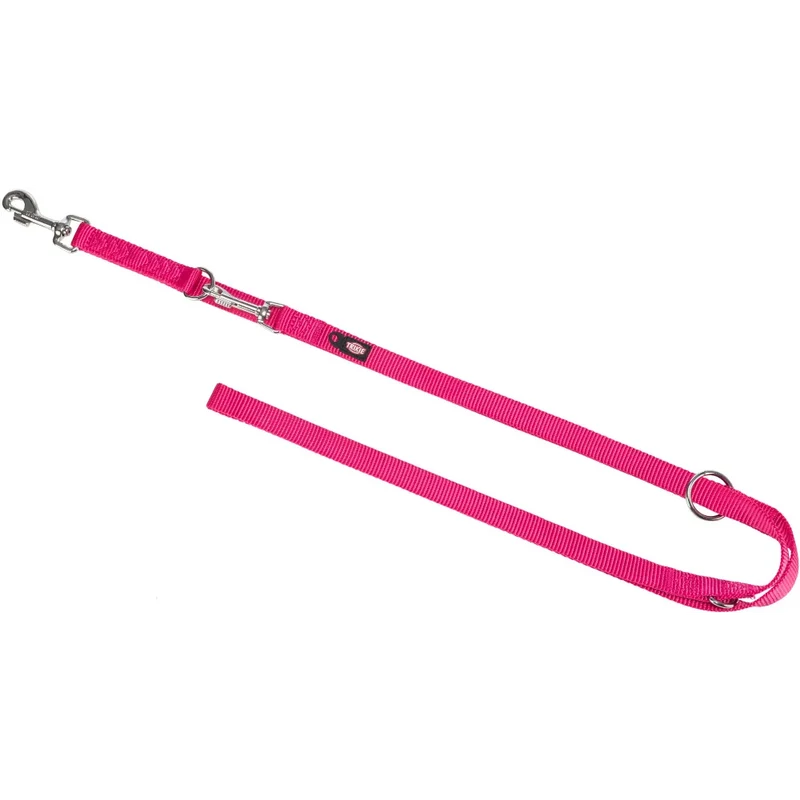 Laisse premium reglable pour chien