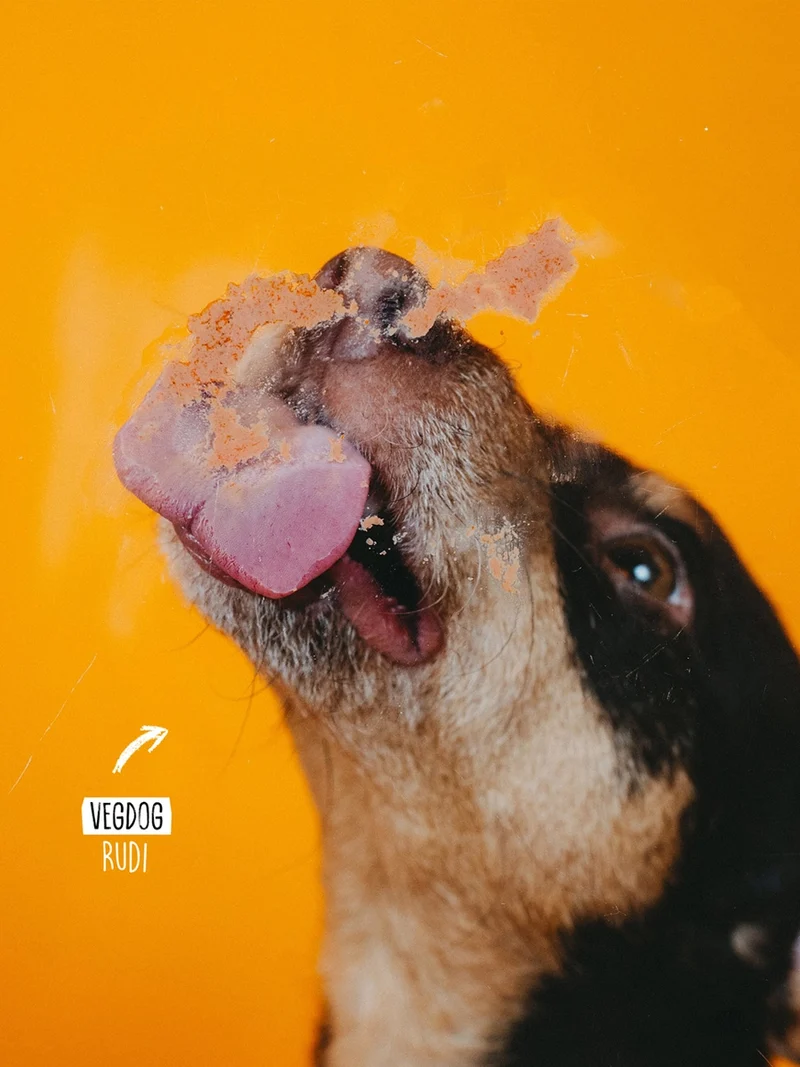 Pâté Vegan en tube pour chien - Vegdog