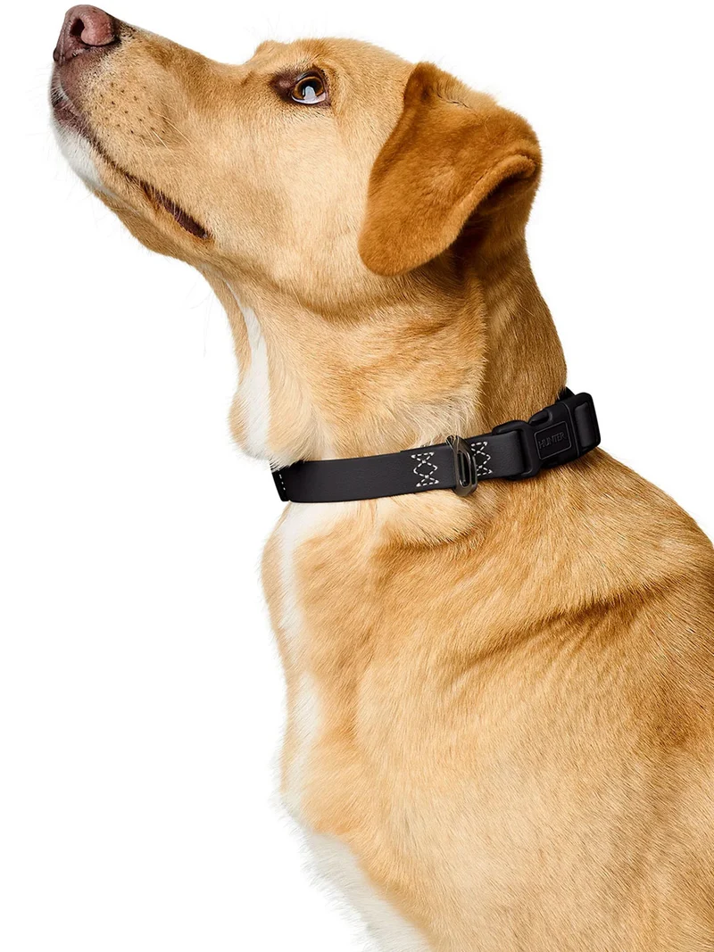 Collier pour chien imperméable et résistant - Havana noir - Hunter