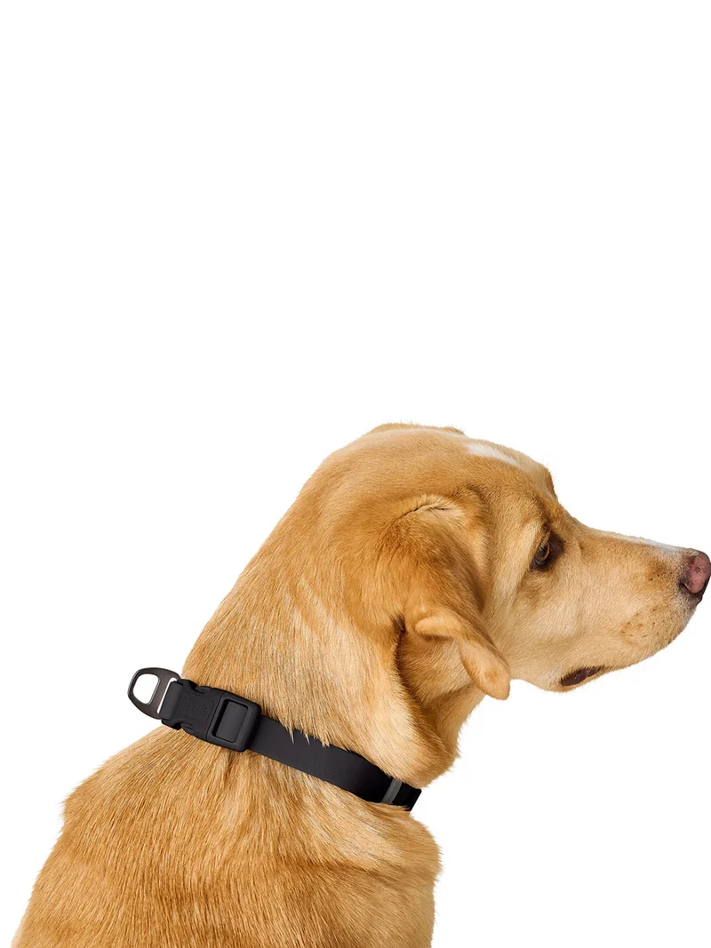 Collier pour chien imperméable et résistant - Havana noir - Hunter