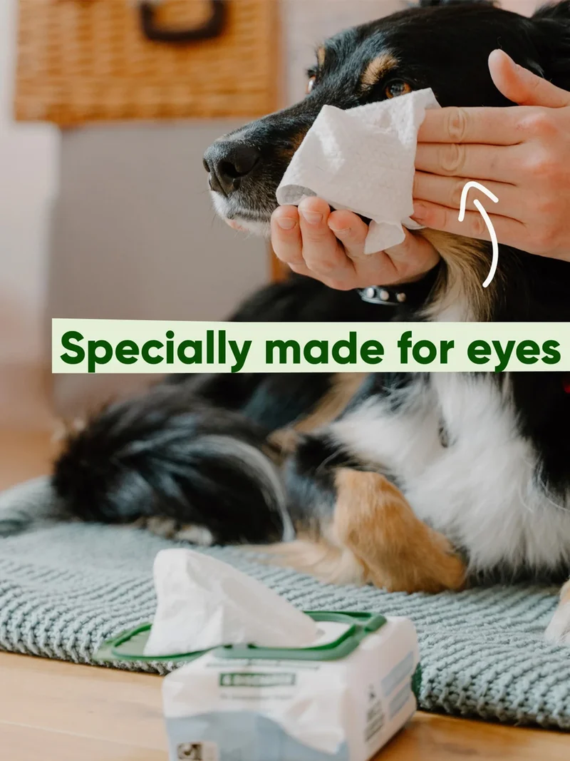 Lingettes nettoyantes contour des yeux pour chien - Aloe Vera et Concombre