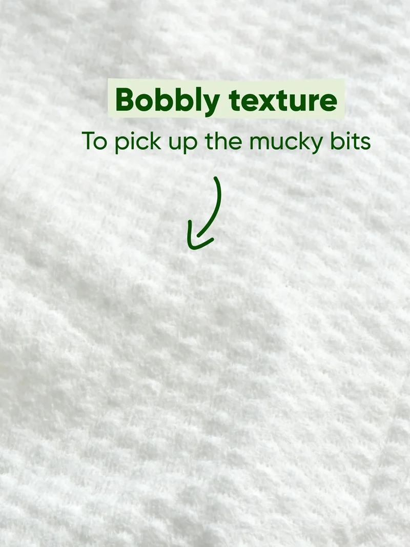 Lingettes nettoyantes oreilles pour chien - Aloe Vera et Camomille