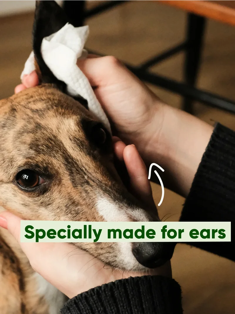 Lingettes nettoyantes oreilles pour chien - Aloe Vera et Camomille