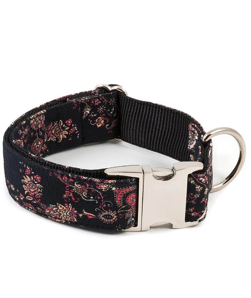 Collier pour chien Mieres